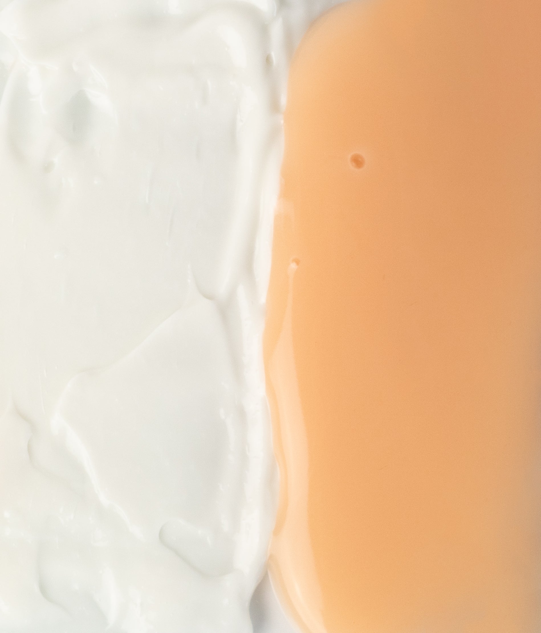 Duo de crèmes infusées