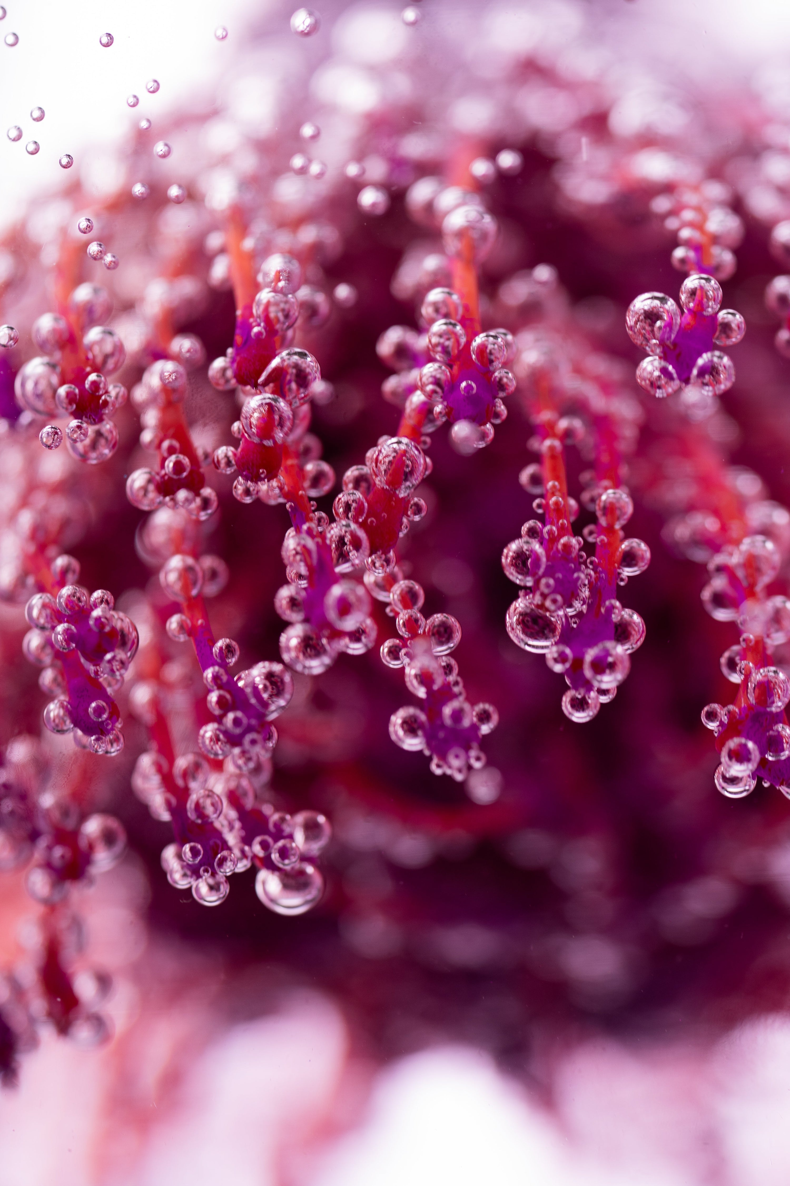 Notre art formulatoire, entre science de précision et haute cosmétique.