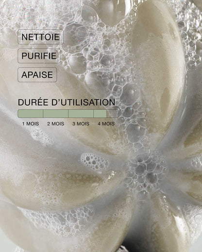 Shampoing rééquilibrant solide