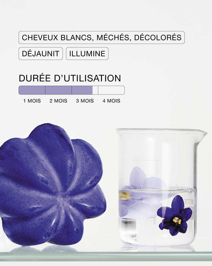 Shampoing violet solide
