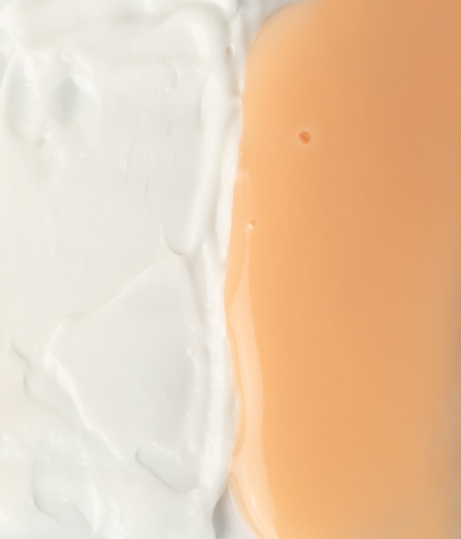 Duo de crèmes infusées