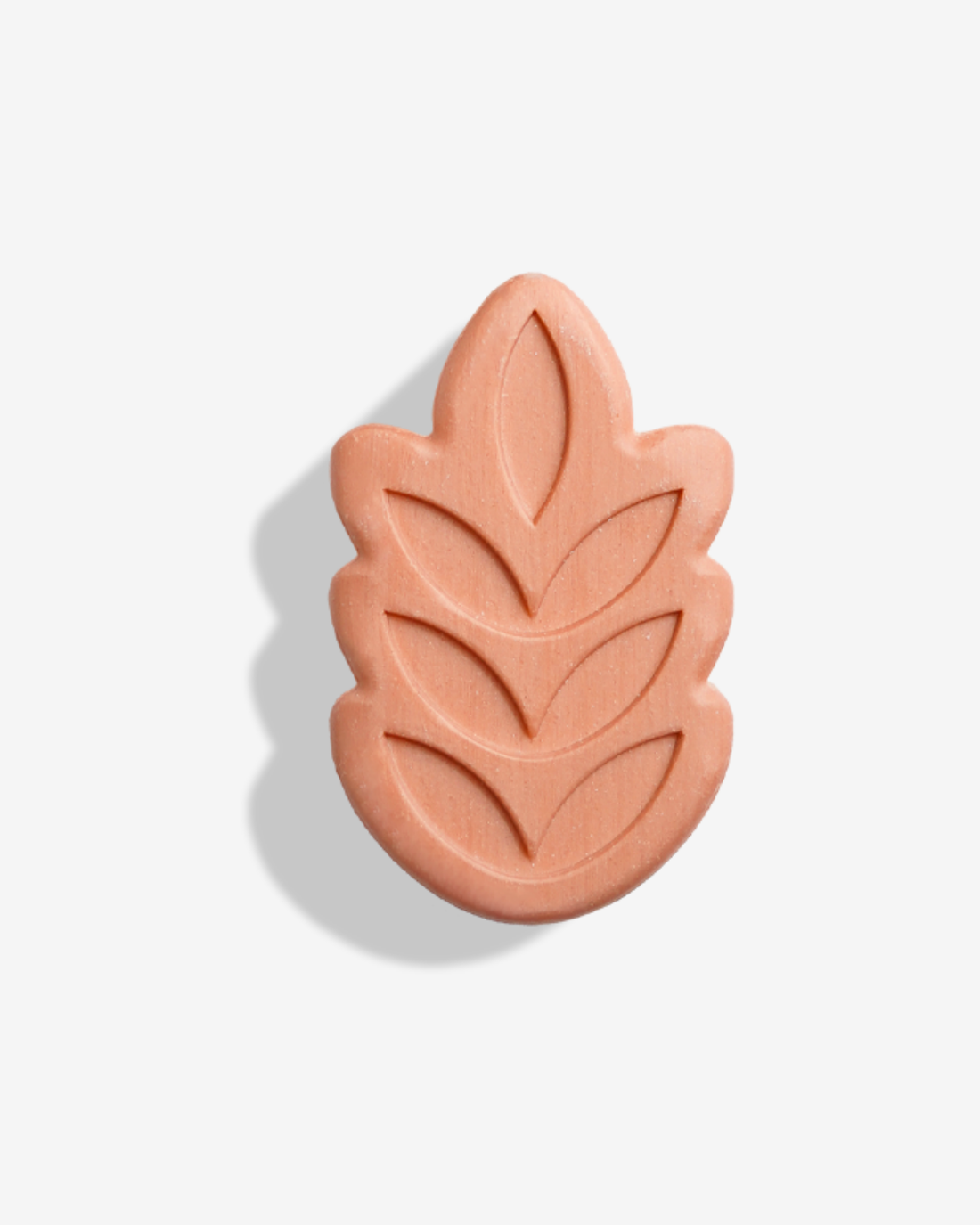Exfoliant corps tonifiant